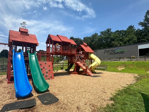 Colorful playground with two slides, climbing structures, and a wooden playhouse, set against a blue sky and green trees.