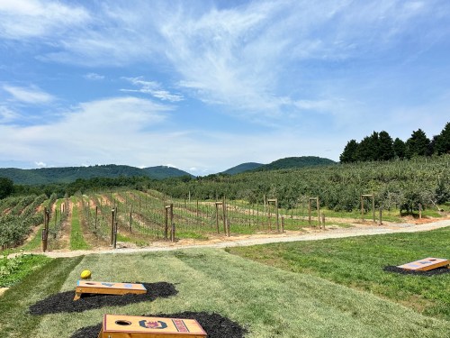 A scenic view of a vineyard with rolling hills, blue skies, and cornhole boards in the foreground.