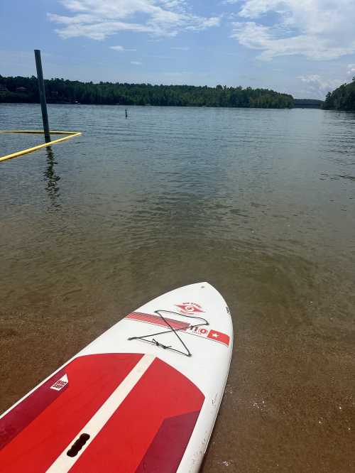 A paddleboard rests on the sandy shore of a calm lake, surrounded by trees under a clear blue sky.