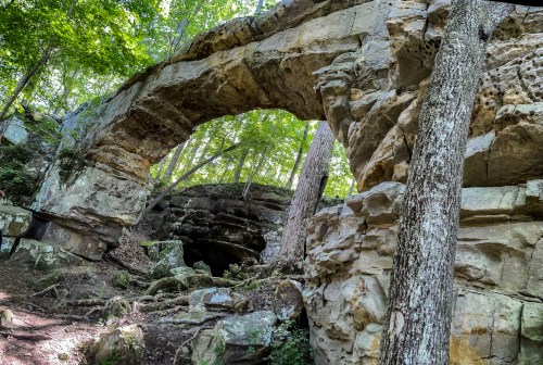 A natural stone arch surrounded by lush greenery and trees in a forested area.