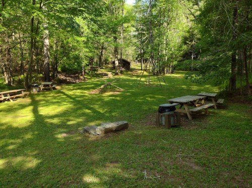 A serene outdoor area with picnic tables, grassy space, and trees, featuring a playground structure in the background.