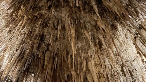 Stalactites hang from a textured cave ceiling, creating a dramatic and intricate natural formation.
