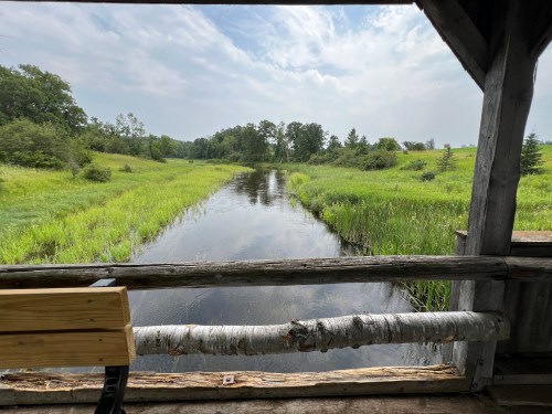 View of a serene river surrounded by lush greenery under a cloudy sky, seen from a wooden structure.
