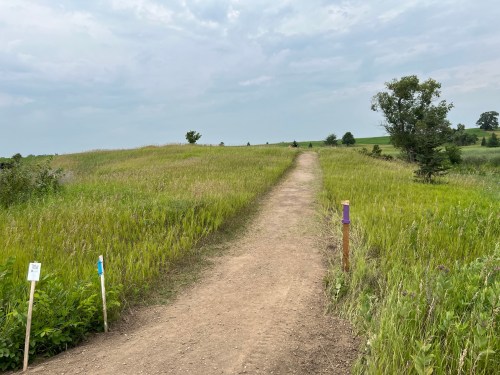 A dirt path winds through a grassy field under a cloudy sky, with markers on either side.