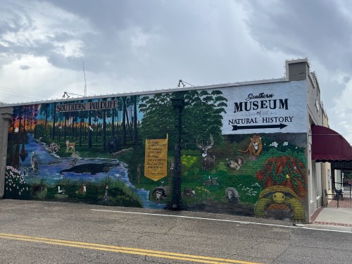 Mural depicting Southern wildlife with trees, animals, and a pond, alongside the Southern Museum of Natural History sign.