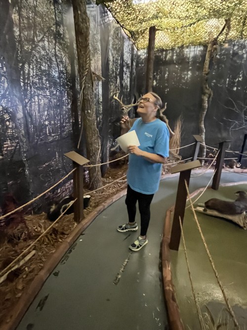 A person in a blue shirt stands in a nature exhibit, holding a paper and interacting with a deer antler display.