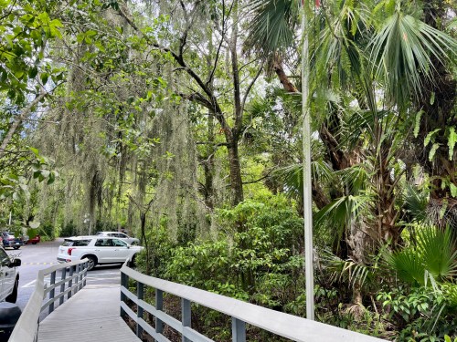 A wooden walkway leads through lush greenery and trees, with parked cars visible in the background.