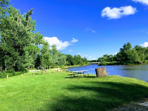A serene riverside scene with green grass, trees, and a clear blue sky, featuring a picnic table and a wooden stump.