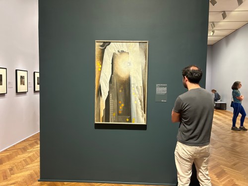 A person observes a painting on a dark wall in an art gallery, with framed photos visible in the background.
