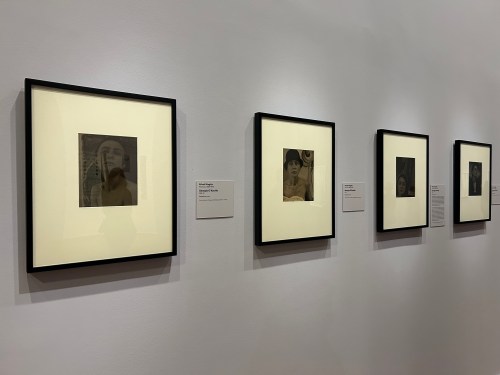 A gallery wall displaying four framed photographs with descriptive labels beneath each frame.