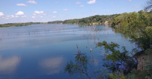 A serene lake with still water, surrounded by trees and stumps, under a blue sky with scattered clouds.