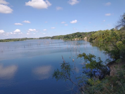 A serene lake with calm waters, surrounded by trees and scattered dead branches, under a blue sky with fluffy clouds.