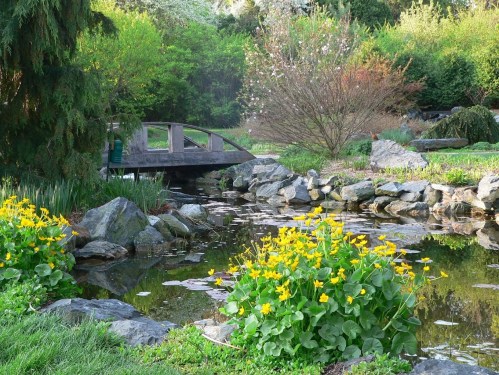 A serene garden scene featuring a wooden bridge over a pond, surrounded by vibrant flowers and lush greenery.