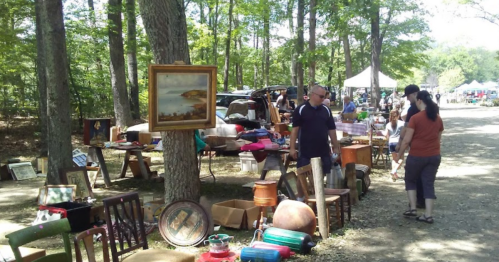 A bustling outdoor flea market with people browsing antiques and vintage items among trees.