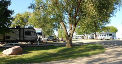 A scenic RV park with several parked RVs and trees, set against a clear blue sky.