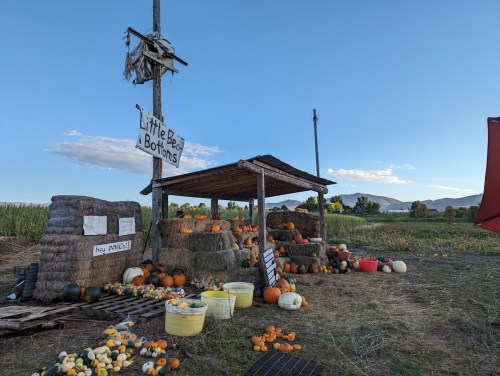 A rustic stand with pumpkins and gourds, surrounded by hay bales, under a clear blue sky.