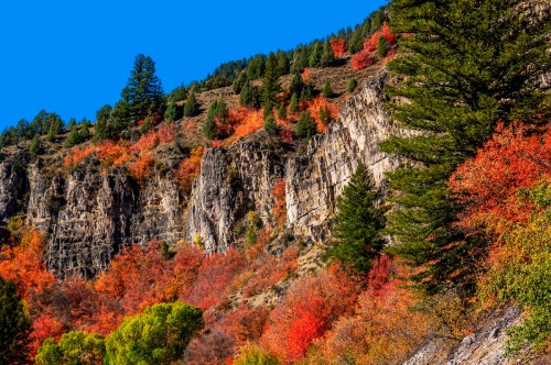 Vibrant autumn foliage on rocky cliffs under a clear blue sky, showcasing red, orange, and green trees.