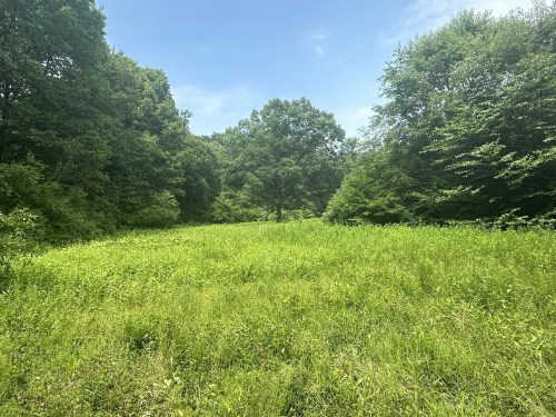 A lush green field surrounded by trees under a clear blue sky.