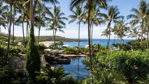 Tropical landscape featuring palm trees, a serene pool, and a view of the ocean and beach in the background.