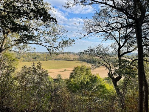 A scenic view of rolling hills and fields framed by trees under a partly cloudy sky.