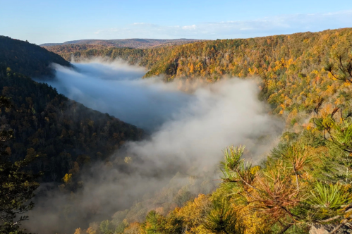 A misty valley surrounded by colorful autumn trees under a clear blue sky.