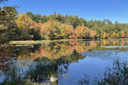 A serene lake surrounded by vibrant autumn foliage reflecting in the water under a clear blue sky.
