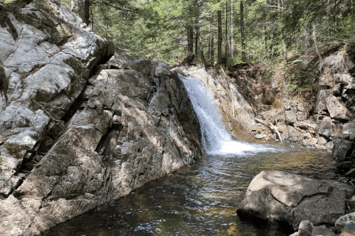 A serene waterfall cascades over rocky terrain, surrounded by lush green trees and a calm pool of water below.