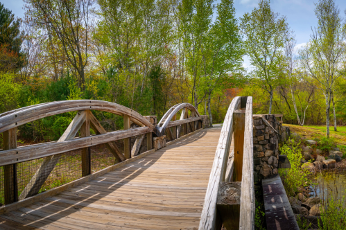 A wooden bridge arches over a serene pond, surrounded by lush greenery and trees in a peaceful natural setting.