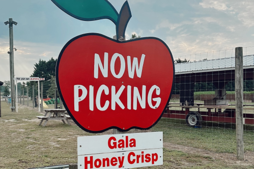 Sign with a large red apple graphic reads "NOW PICKING" with "Gala" and "Honey Crisp" varieties listed below.