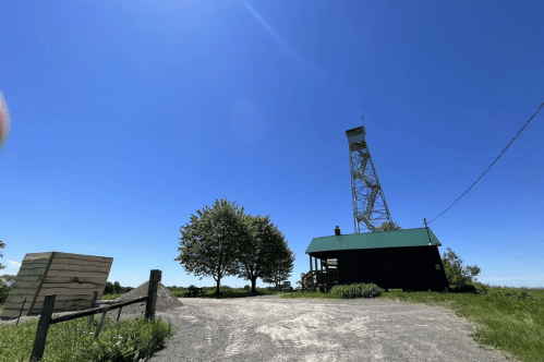 A clear blue sky over a lookout tower and a small wooden cabin surrounded by trees on a gravel path.