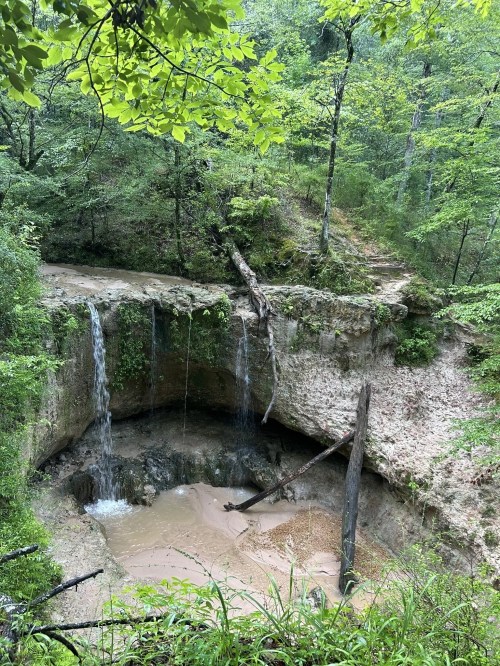 A serene forest scene featuring a small waterfall cascading into a sandy pool surrounded by lush greenery.