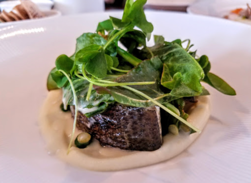 A plated dish featuring a piece of fish topped with fresh greens on a creamy sauce.