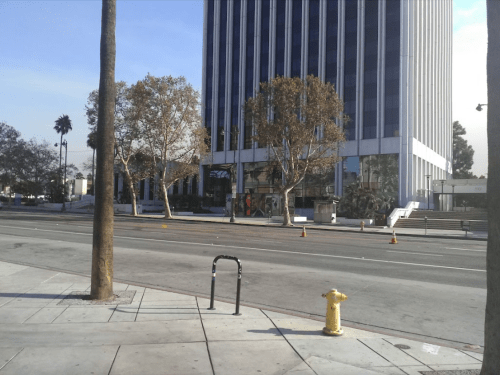 A city street view featuring a tall building, palm trees, and a fire hydrant, with no traffic visible.