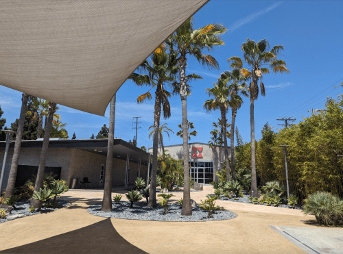 A modern building surrounded by palm trees and desert plants under a clear blue sky.