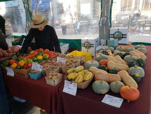 A market stall displays a variety of fresh vegetables, including squash, peppers, and sweet potatoes, under a green tent.