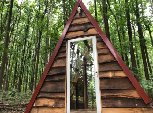 A small A-frame cabin made of wood, nestled among tall green trees in a forest.