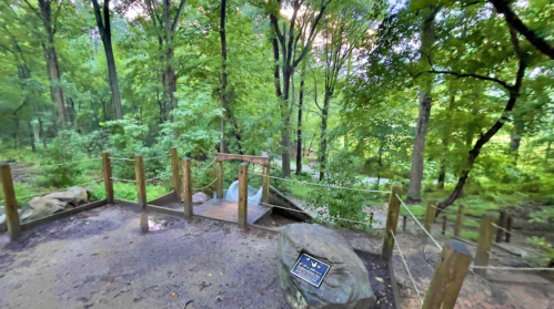 A serene forest scene with lush green trees, a wooden viewing platform, and a plaque on a rock.