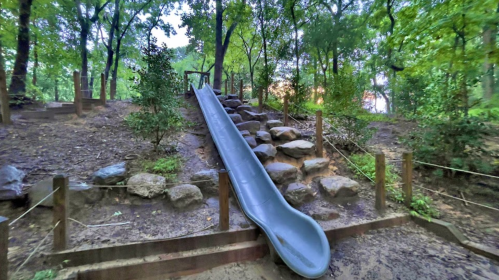 A gray slide on a hillside surrounded by trees and rocks, leading down to a muddy area.
