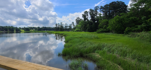 A serene landscape featuring a calm river reflecting clouds and lush green vegetation along the banks.