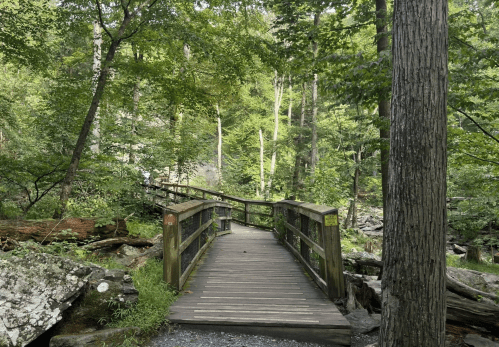 A wooden bridge crosses a serene forest path, surrounded by lush green trees and rocky terrain.