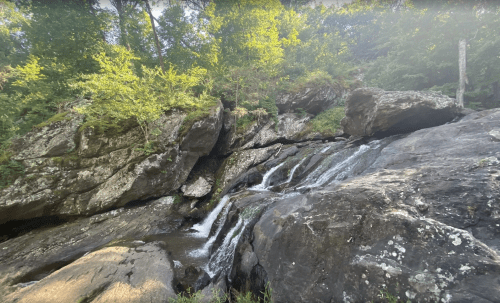A serene waterfall cascading over rocks, surrounded by lush greenery and trees in a natural setting.
