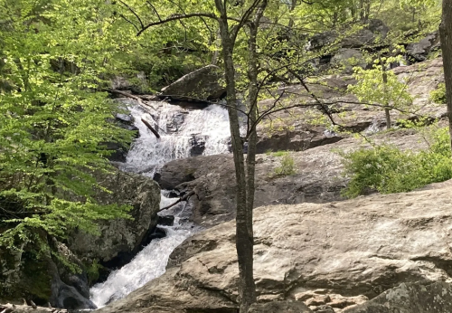 A serene waterfall cascades over rocky terrain, surrounded by lush green trees and foliage.