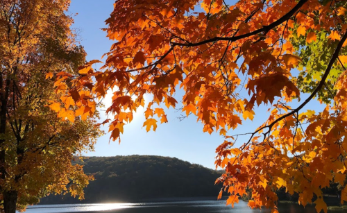 Vibrant orange and yellow leaves frame a serene lake under a clear blue sky, with a distant hillside in the background.