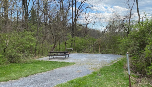 A gravel clearing in a wooded area with a picnic table surrounded by greenery and trees under a cloudy sky.