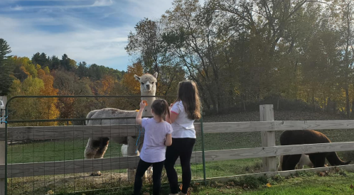 Two girls interact with an alpaca at a farm, surrounded by colorful autumn trees and a peaceful landscape.