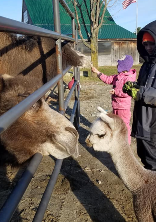A child in pink feeds a goat while a man in a black coat watches, with a barn and flag in the background.