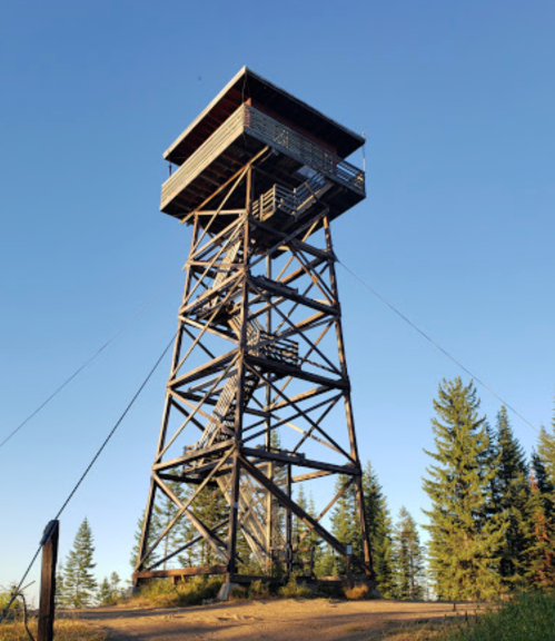 A tall wooden observation tower surrounded by trees against a clear blue sky.