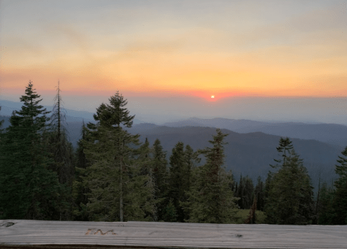 Sunset over a misty mountain landscape, with silhouettes of tall trees in the foreground and a colorful sky.