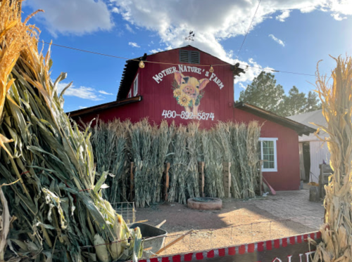 Red barn with "Mother Nature's Farm" sign, surrounded by tall corn stalks under a blue sky.