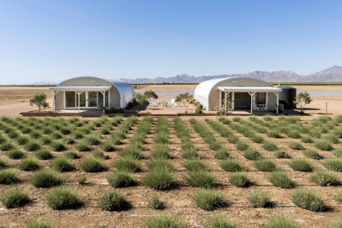 Two modern, rounded homes surrounded by neatly arranged rows of green plants, with mountains in the background.